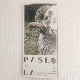 PARTICIPACIÓN EN LA MESA REDONDA DEL PASEO DE LA LANA, 1ª Edición. Más Que Crochet